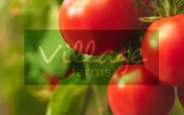 investing-villiage-farms-01