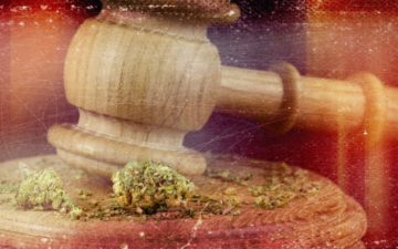 michigan-marijuana-legalization-moves-forward-with-ballot-language