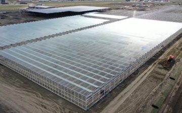 Aurora lays off 200, idles most of flagship Sky marijuana facility