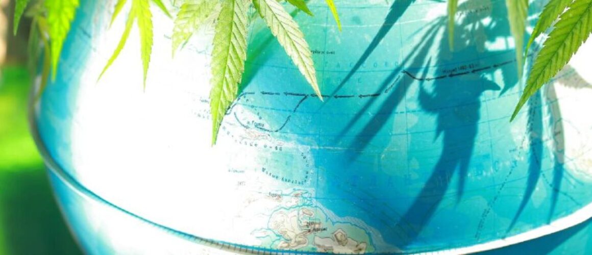 weed globe
