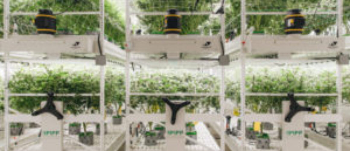 Pipp Horticulture Acquires Vertical Air Solutions