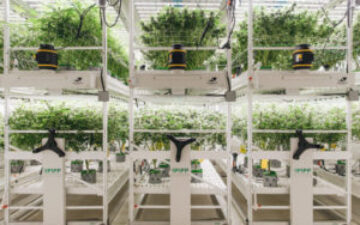 Pipp Horticulture Acquires Vertical Air Solutions