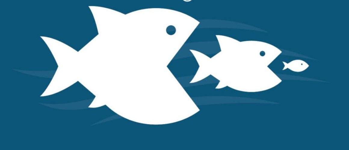 Cannabis M&A activity intensifies as investor sentiment brightens since November election