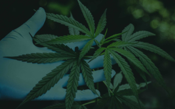 acreage-about-us-hero-2