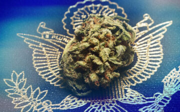 us-marijuana-legalization-by-2020-fact-or-fiction